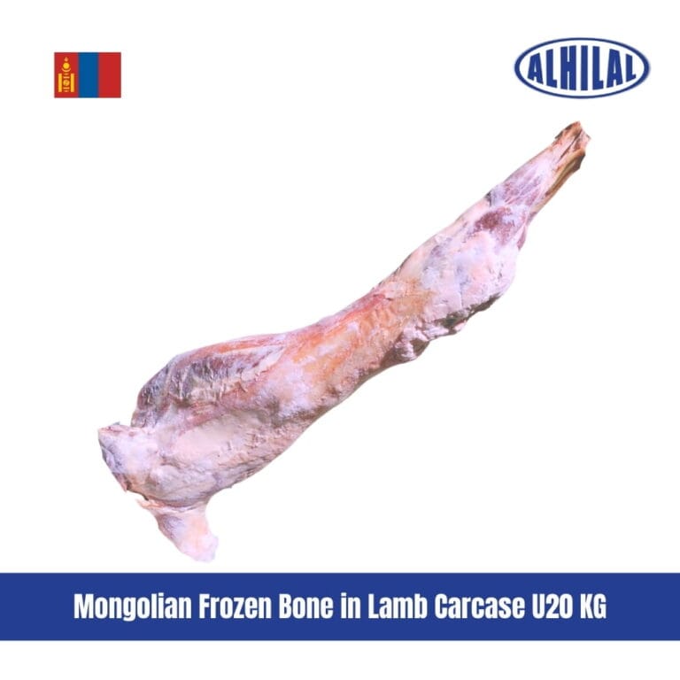 Mongolian Frozen Bone in Lamb Carcase U20 KG
